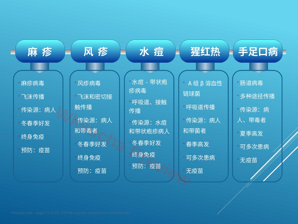 预览第 17 页