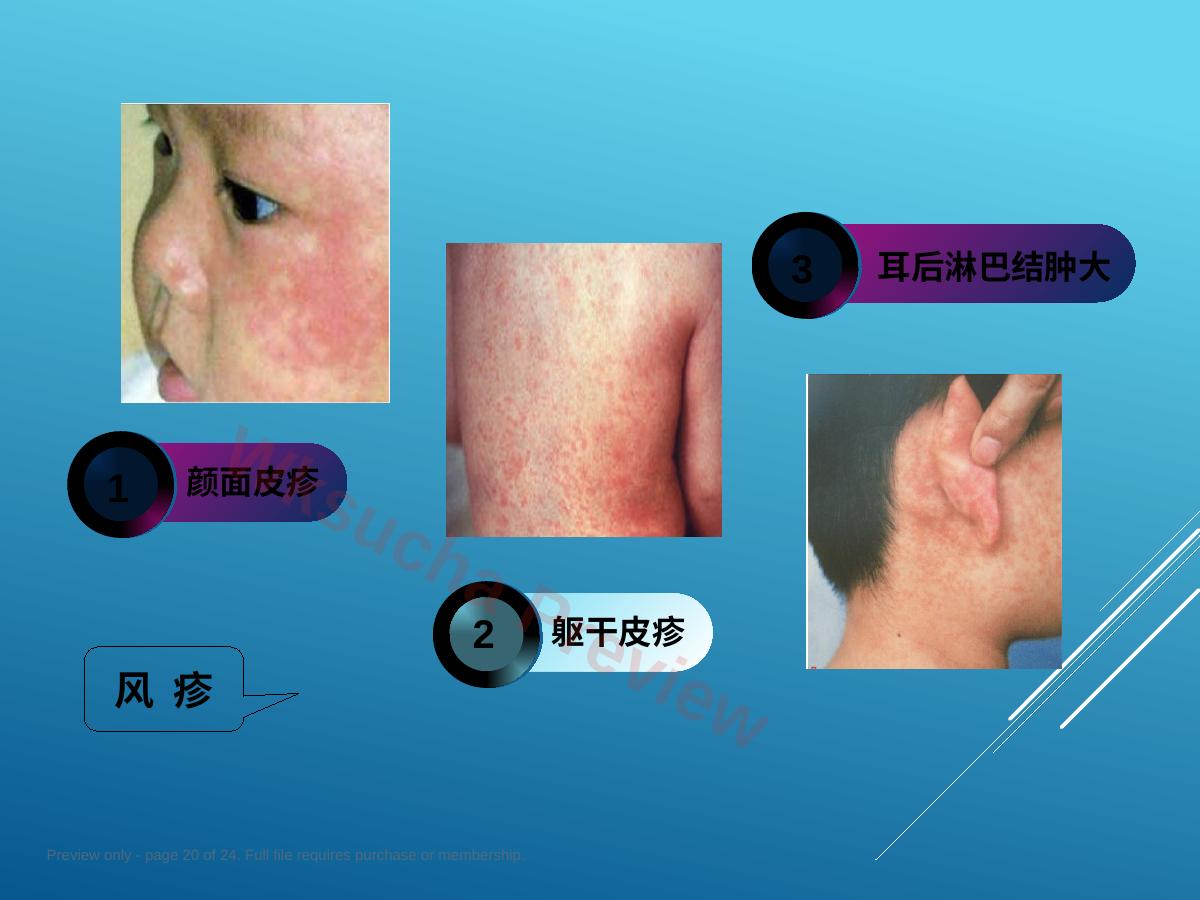 预览第 20 页