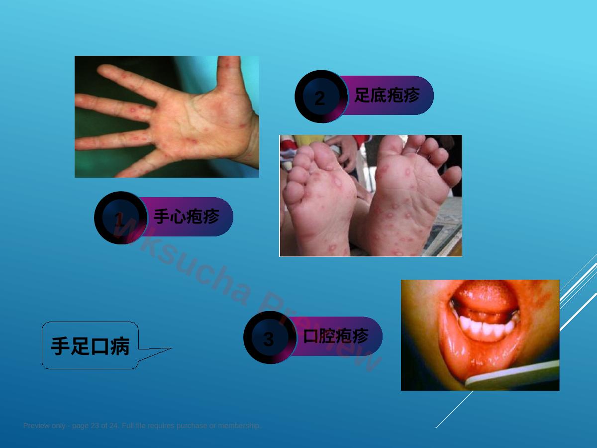 预览第 23 页