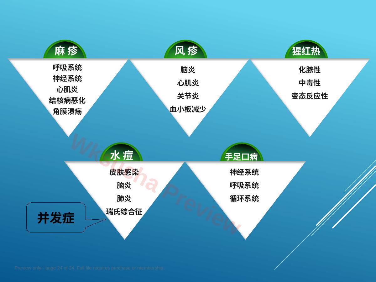 预览第 24 页