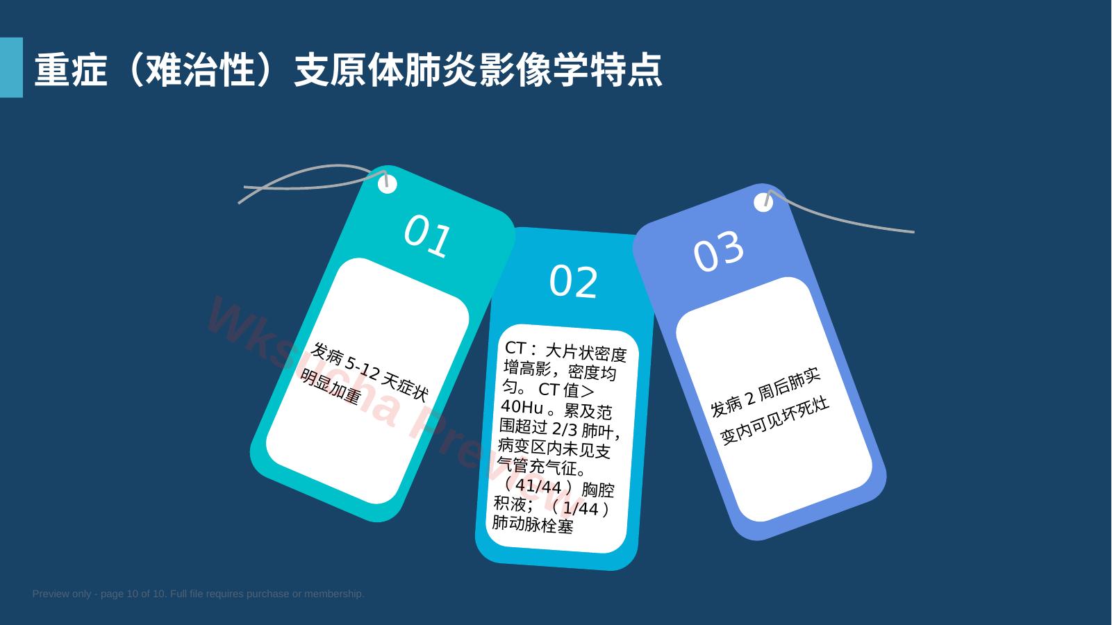 预览第 10 页