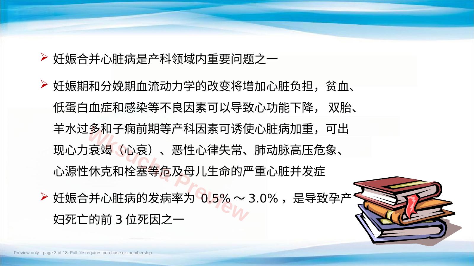 预览第 3 页