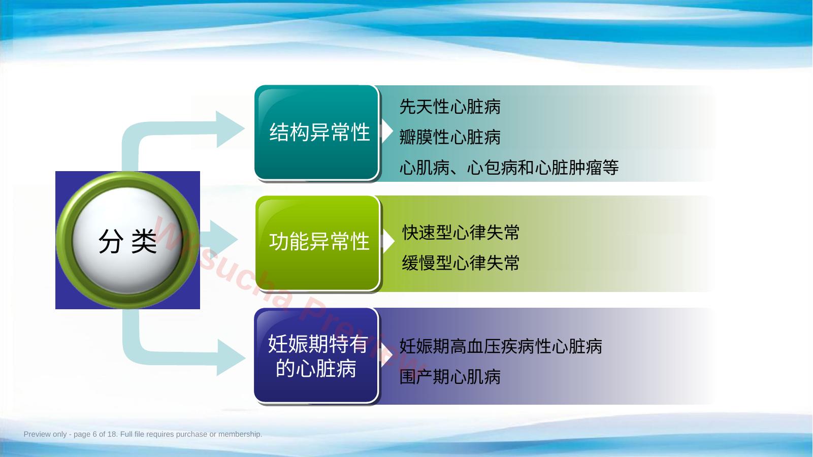 预览第 6 页