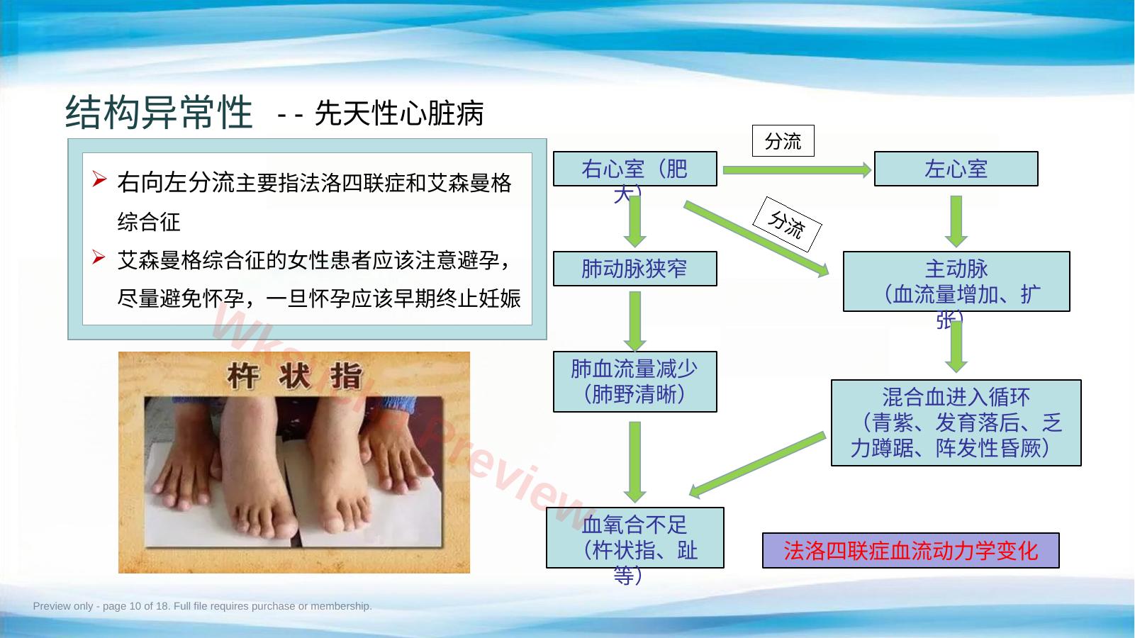 预览第 10 页