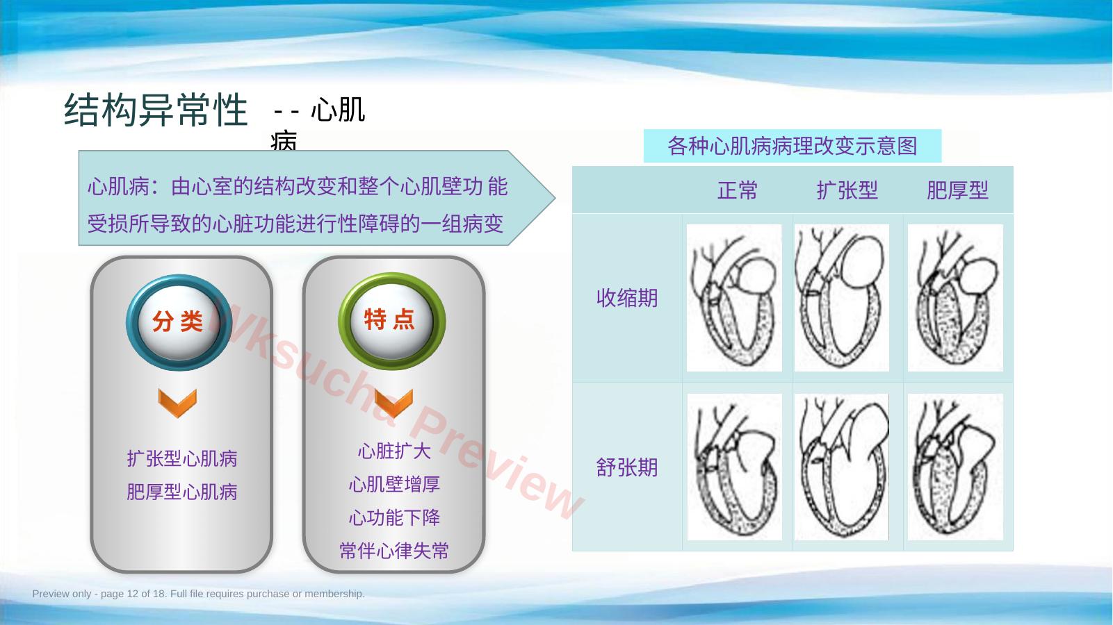 预览第 12 页