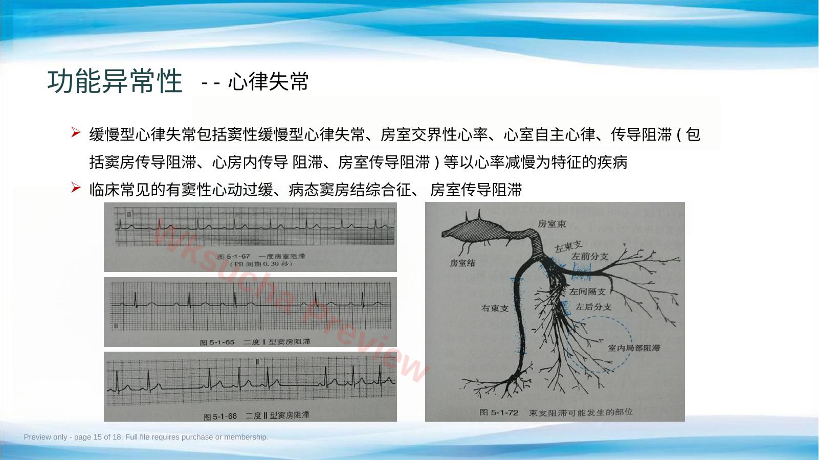 预览第 15 页