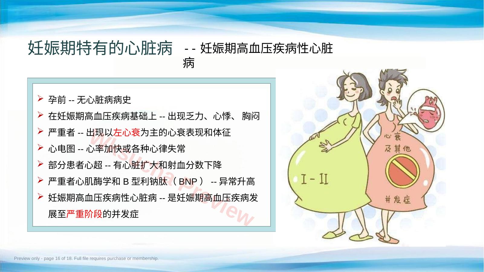预览第 16 页
