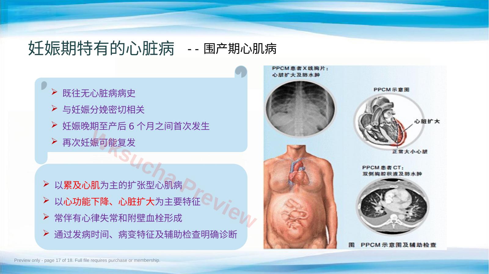 预览第 17 页