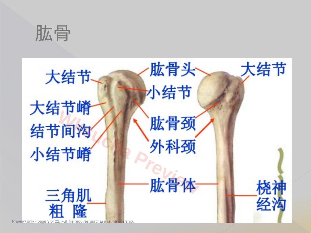 预览第 3 页