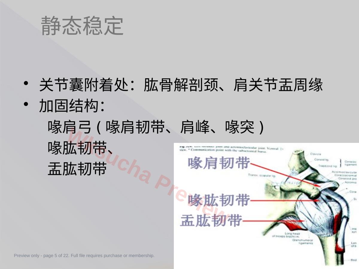 预览第 5 页