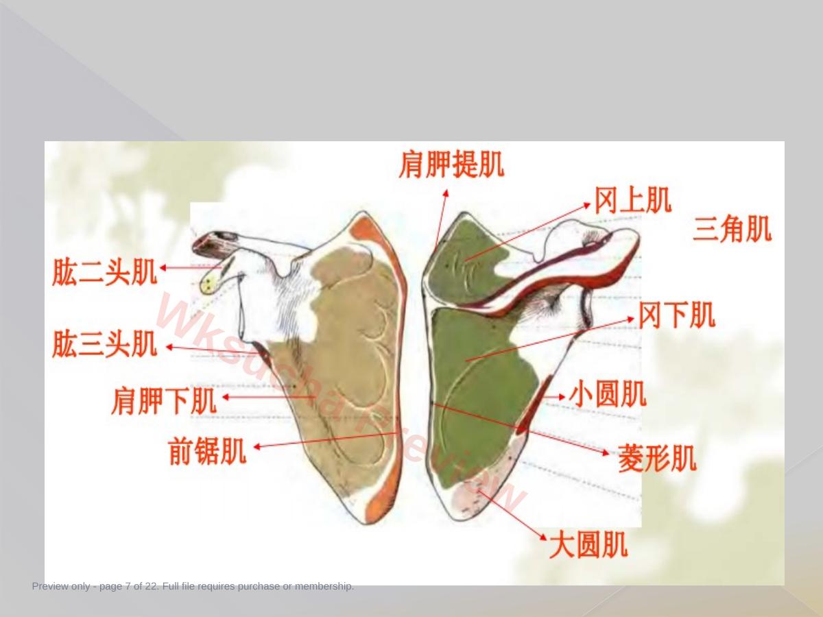 预览第 7 页
