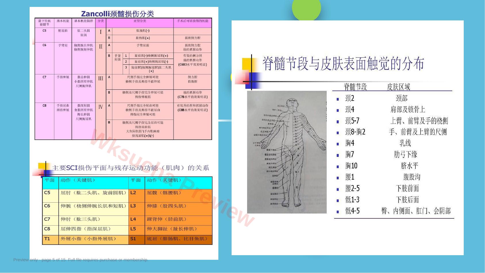 预览第 5 页