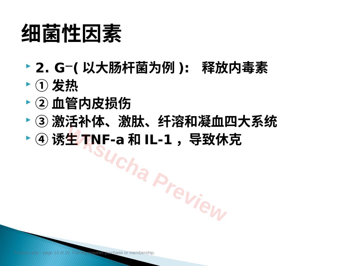 预览第 13 页