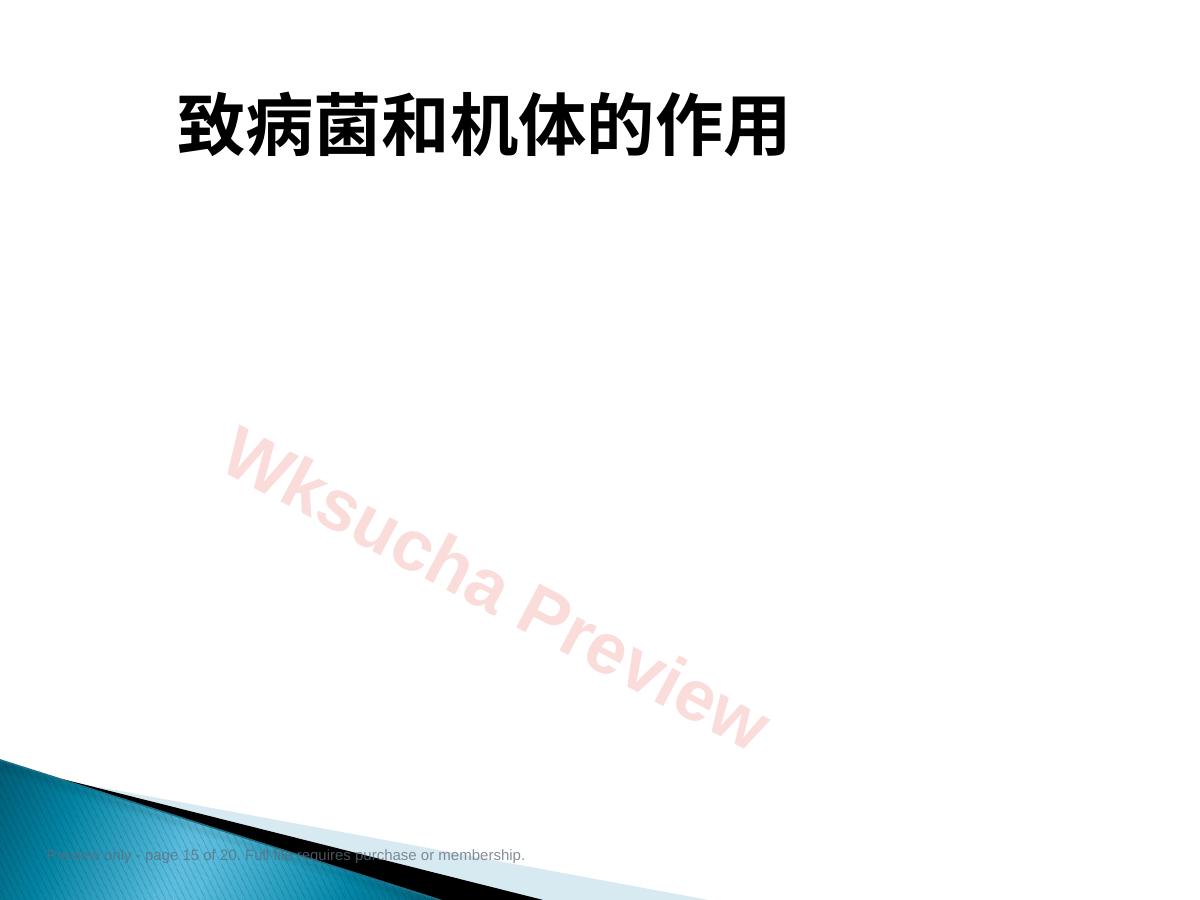 预览第 15 页