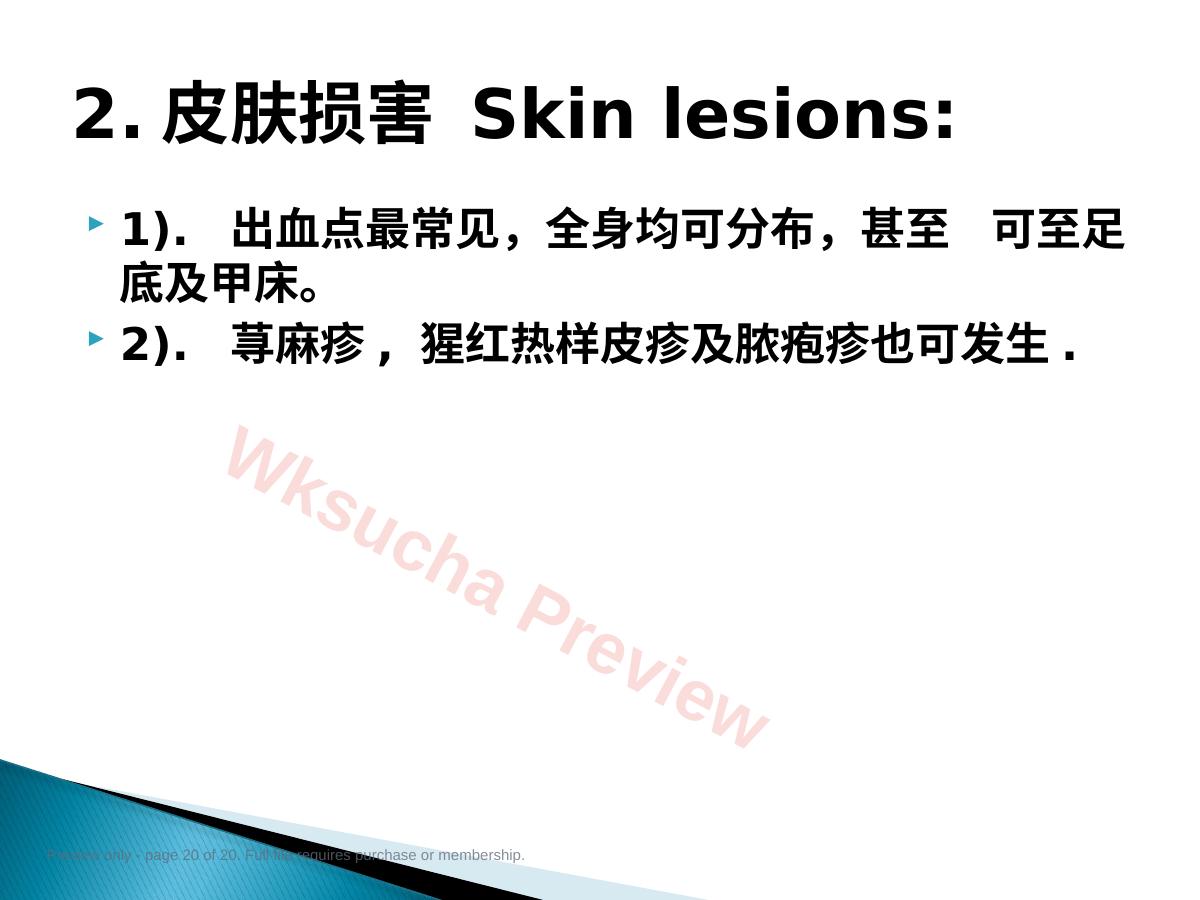 预览第 20 页
