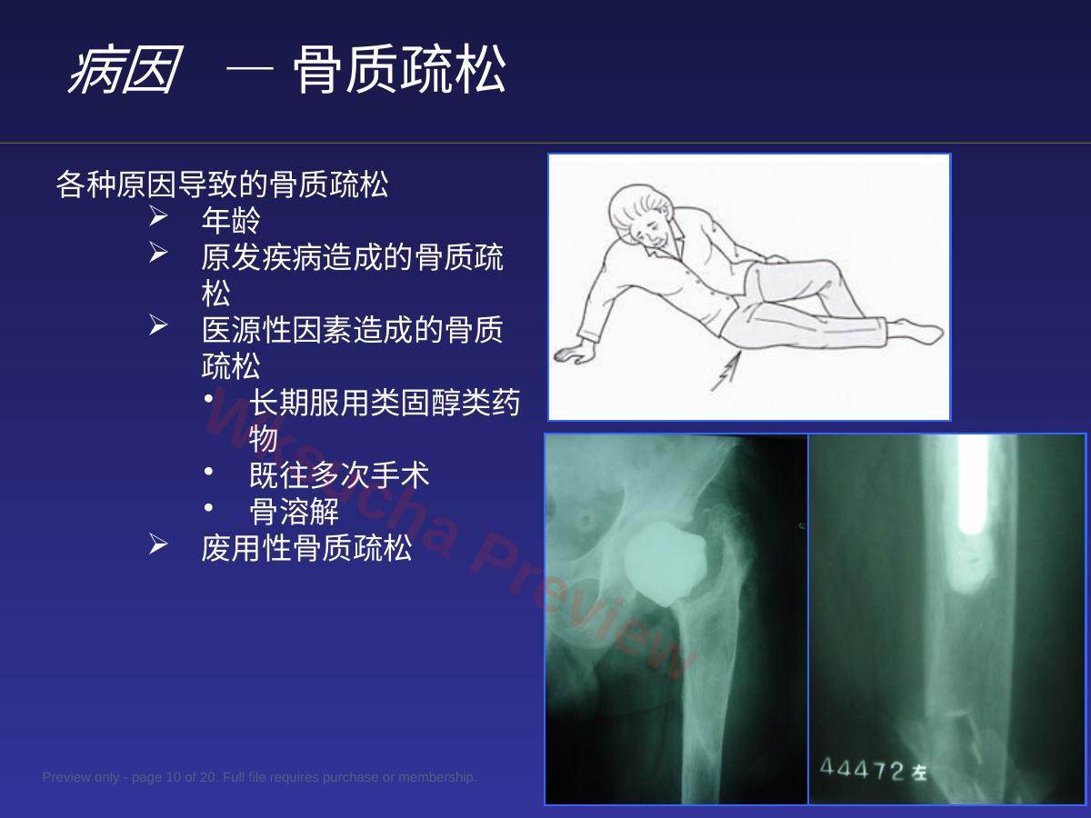 预览第 10 页