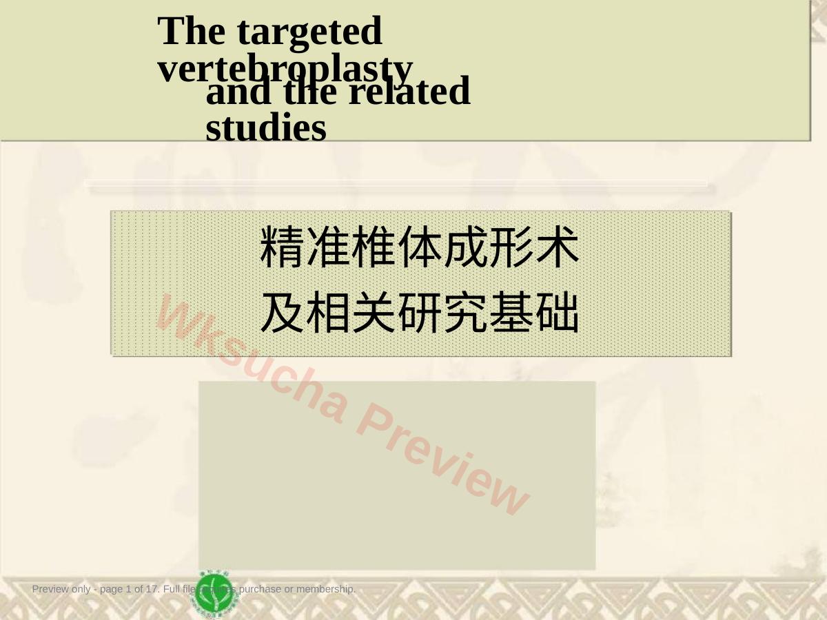 精准椎体成形术2
