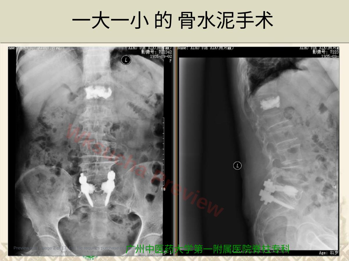 预览第 2 页