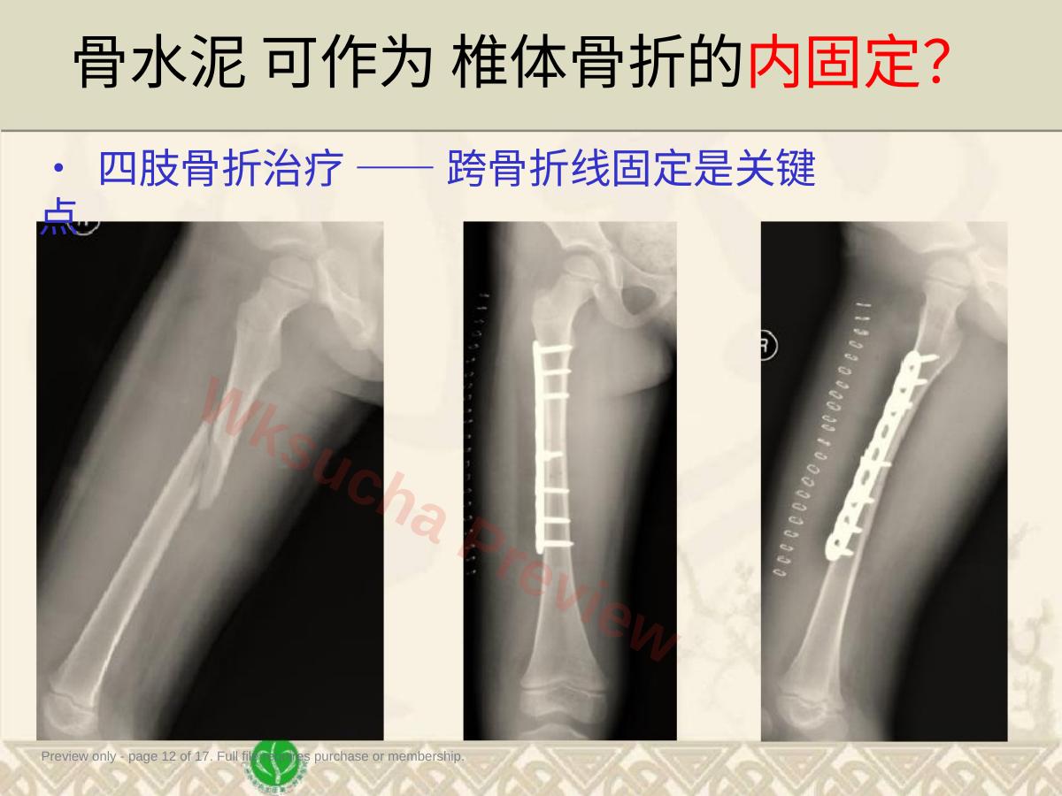 预览第 12 页