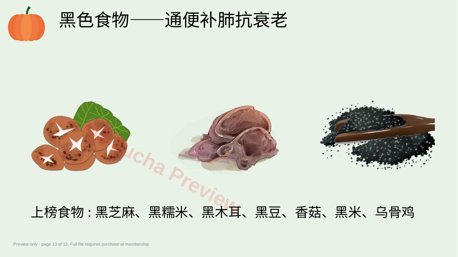 预览第 13 页