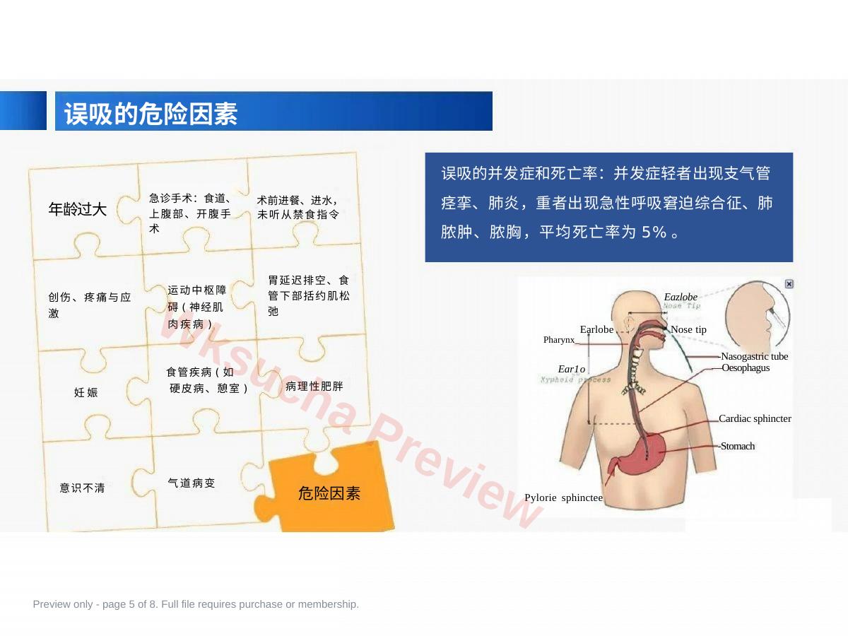 预览第 5 页