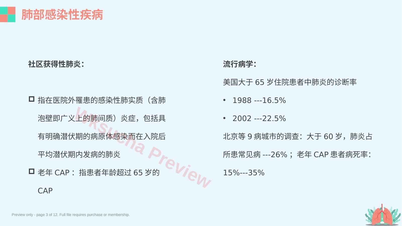 预览第 3 页