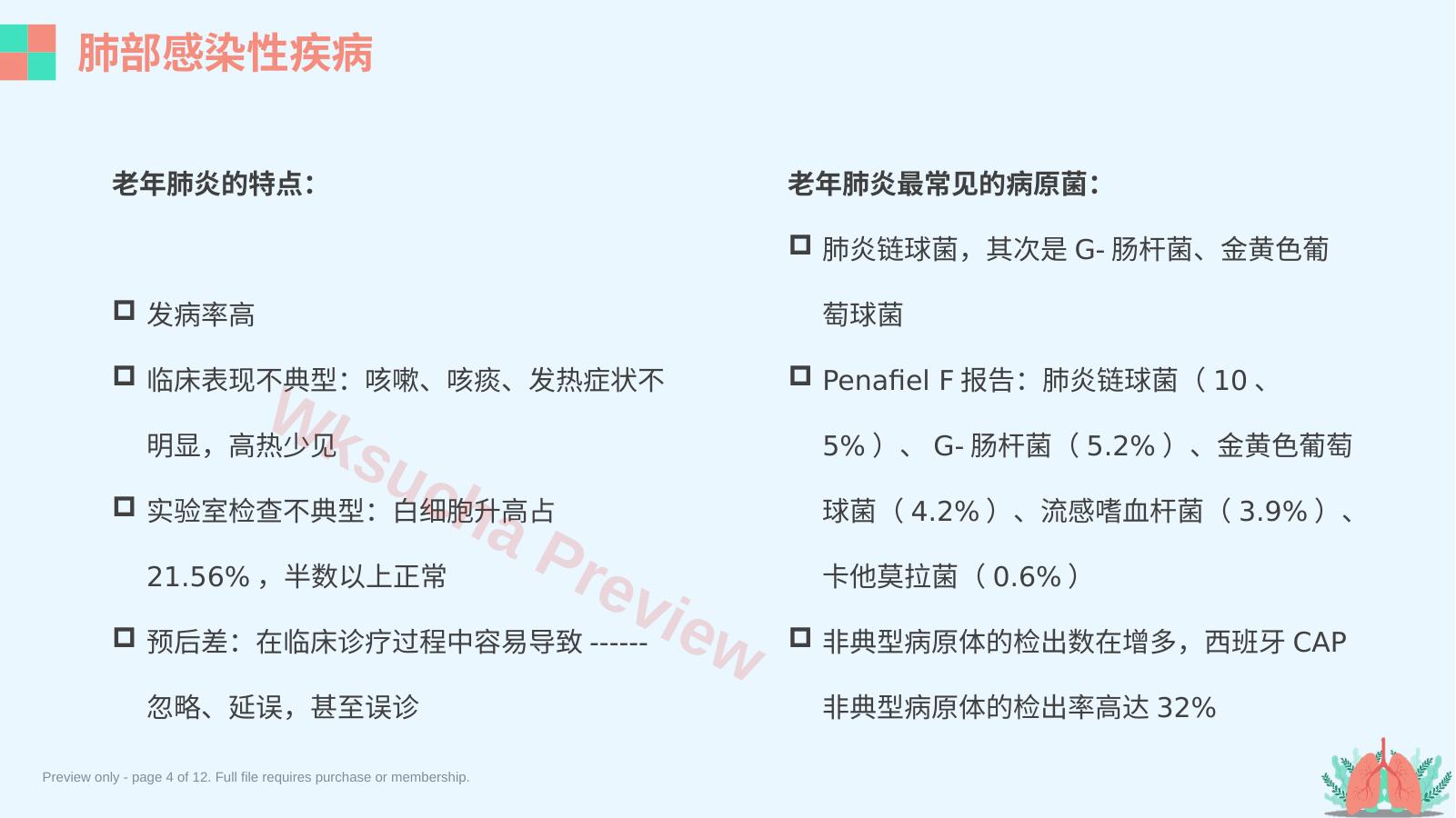 预览第 4 页