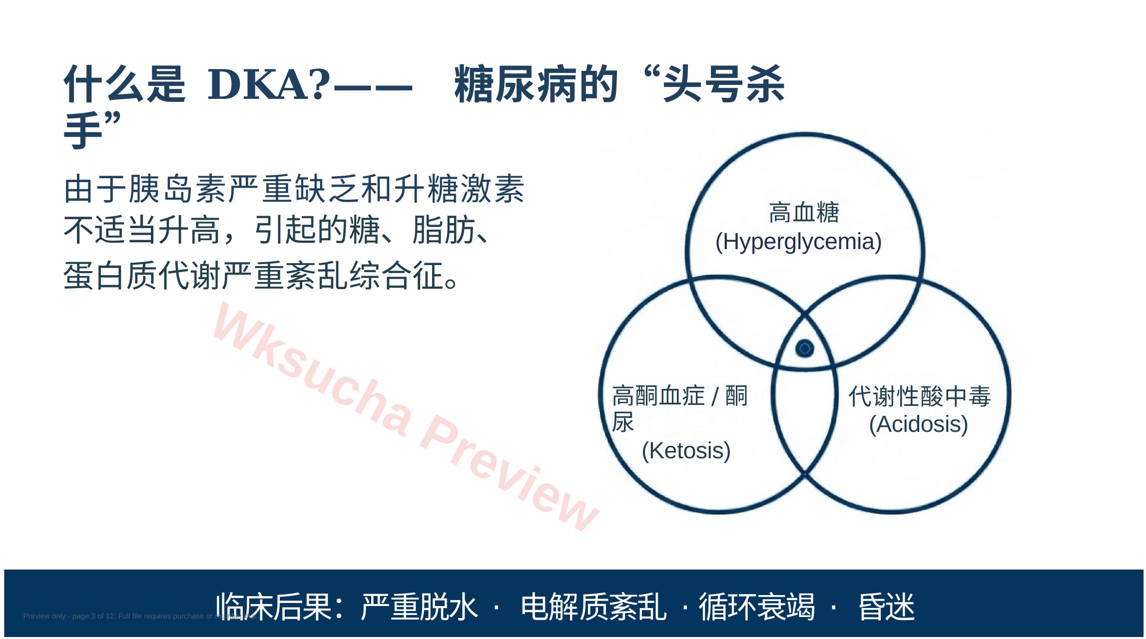预览第 3 页