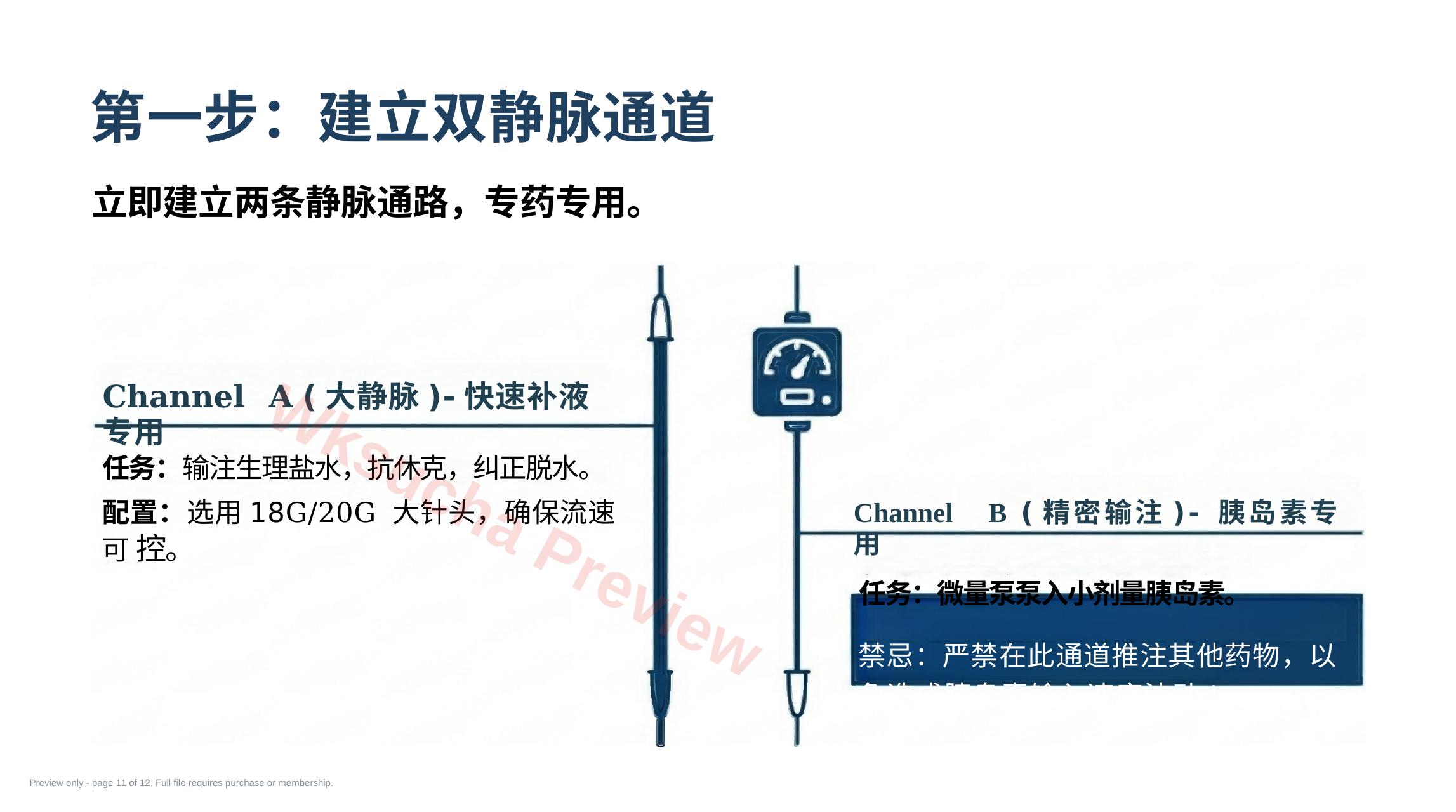 预览第 11 页