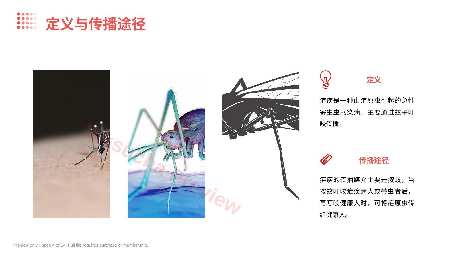 预览第 4 页