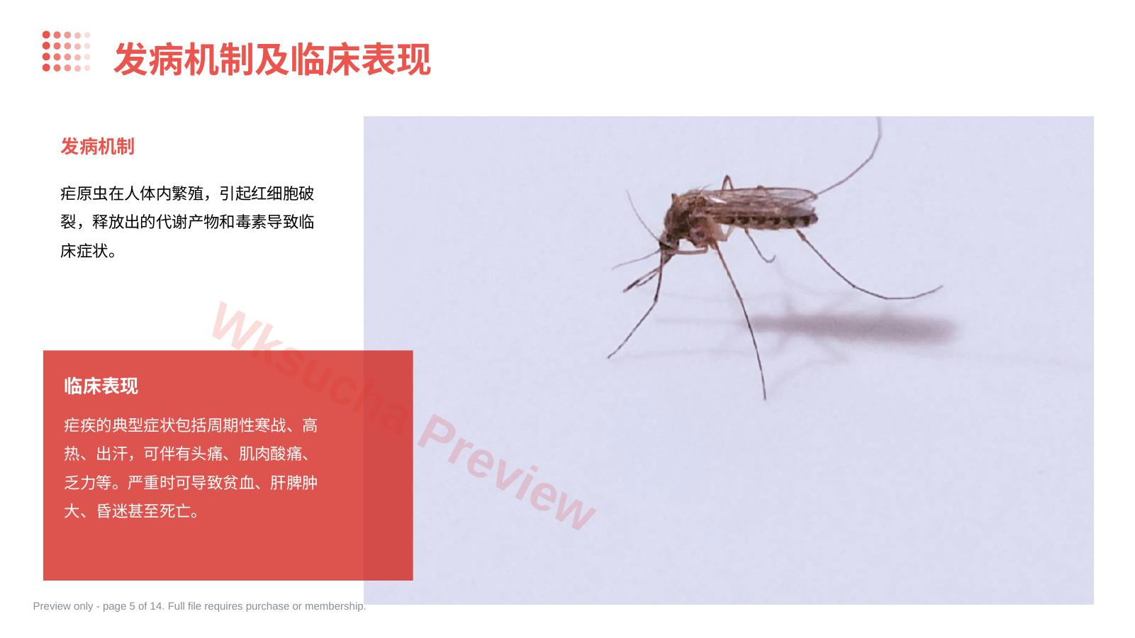 预览第 5 页