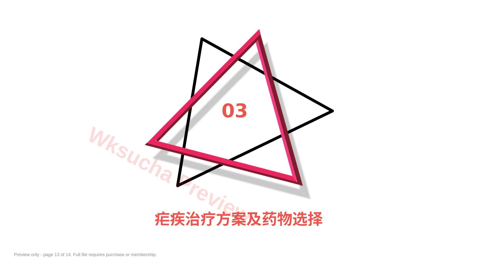 预览第 13 页