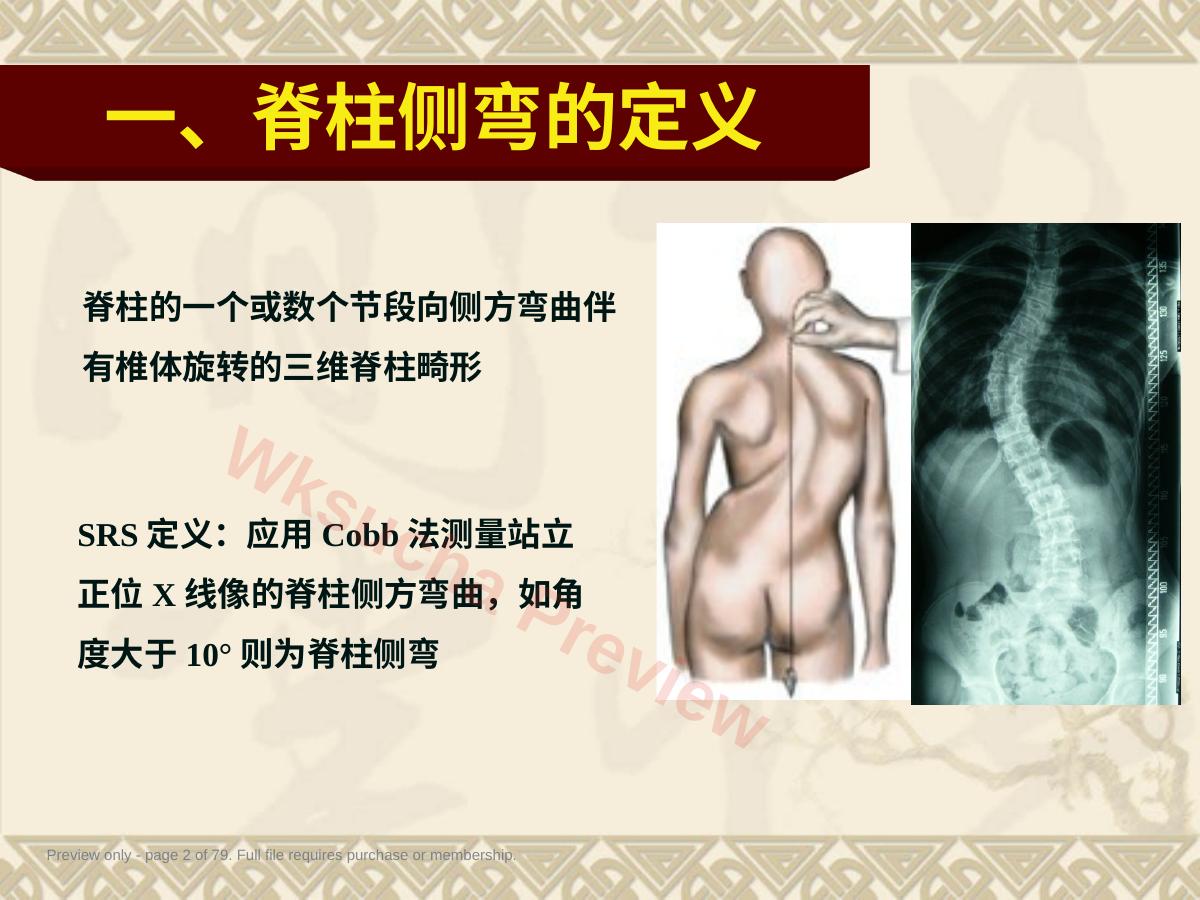预览第 2 页
