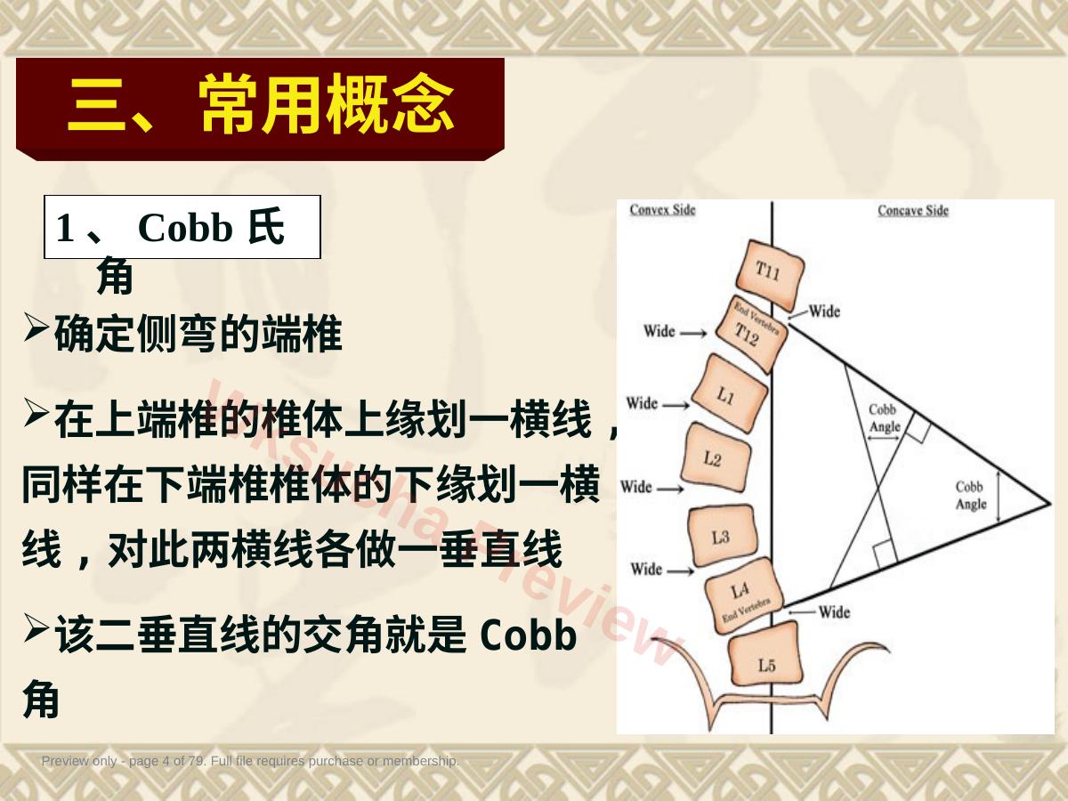 预览第 4 页