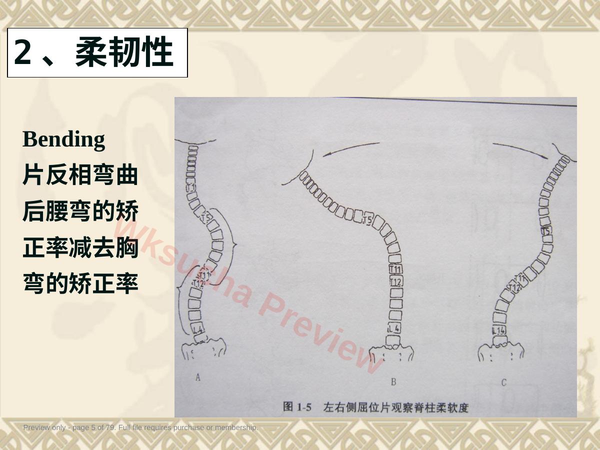 预览第 5 页