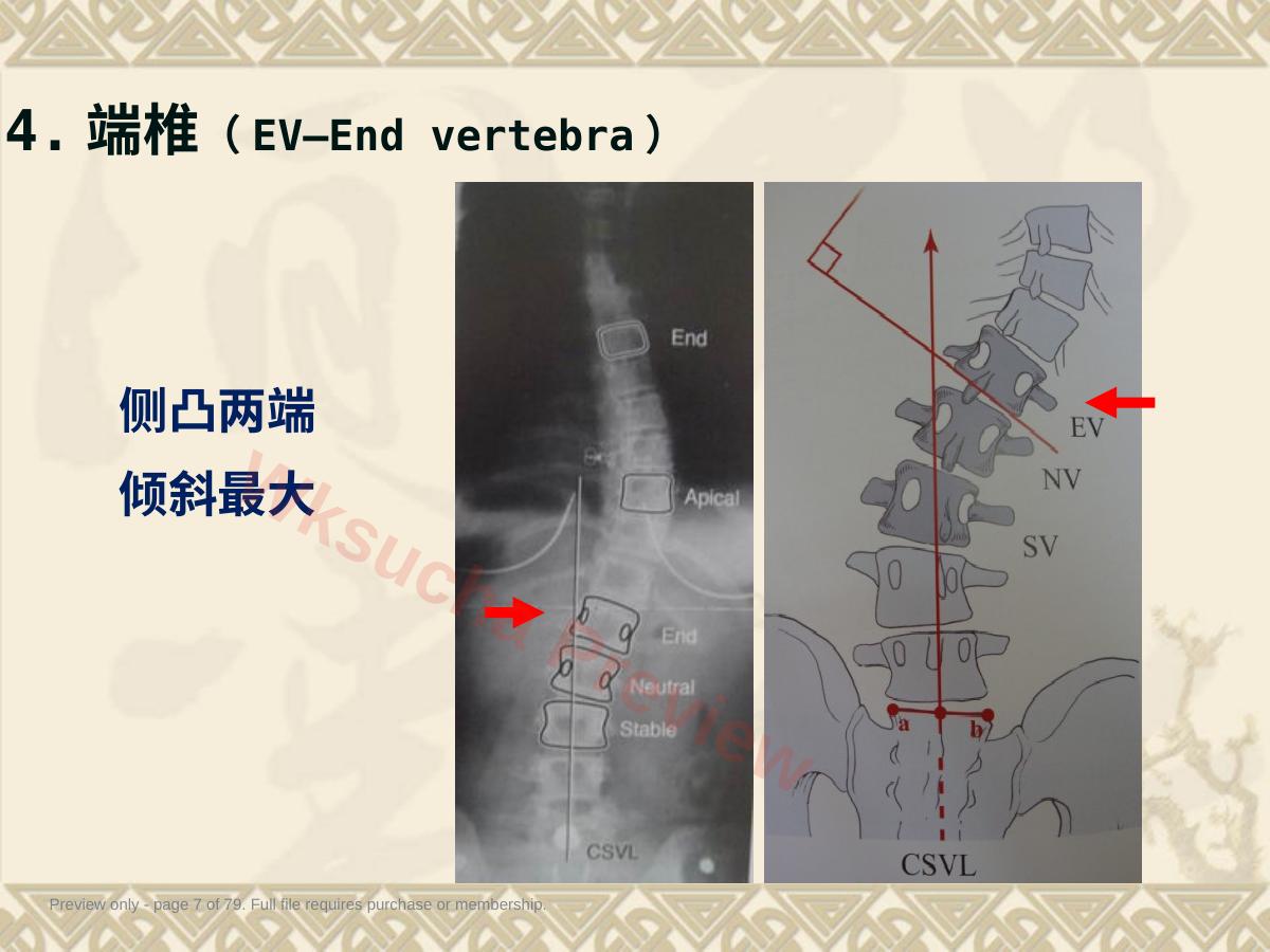 预览第 7 页