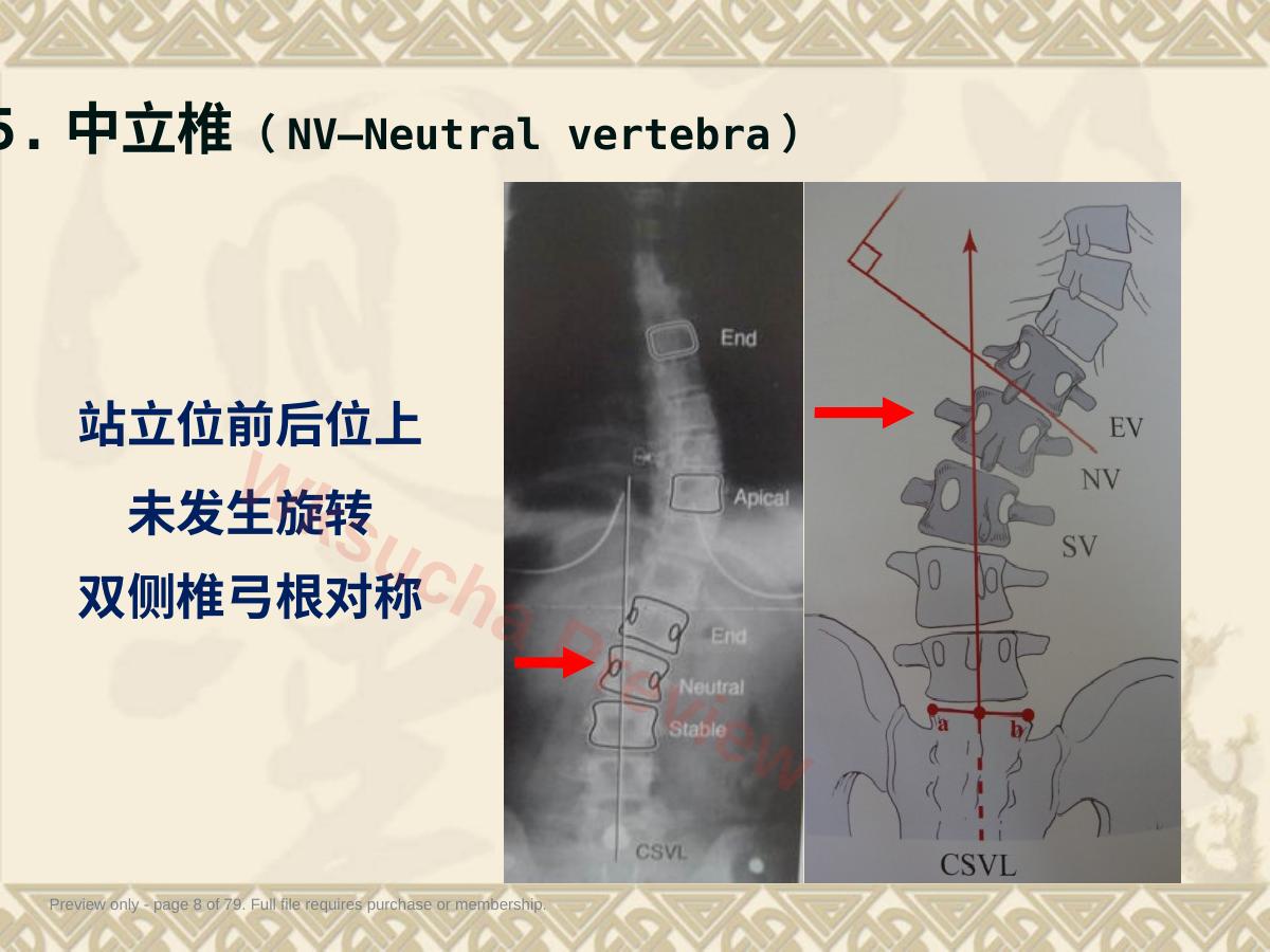 预览第 8 页