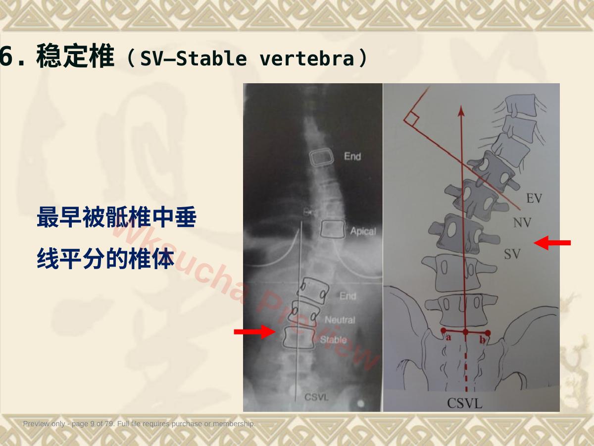 预览第 9 页