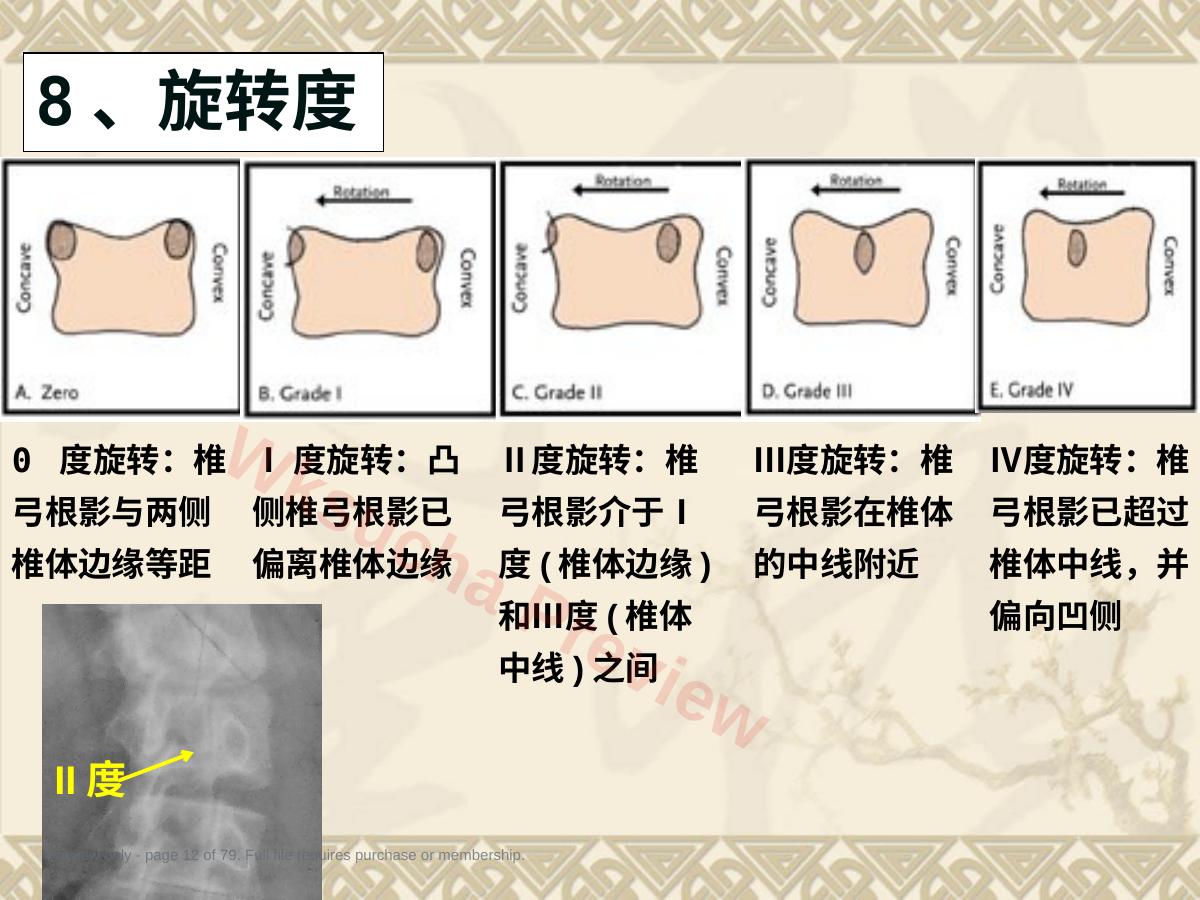预览第 12 页