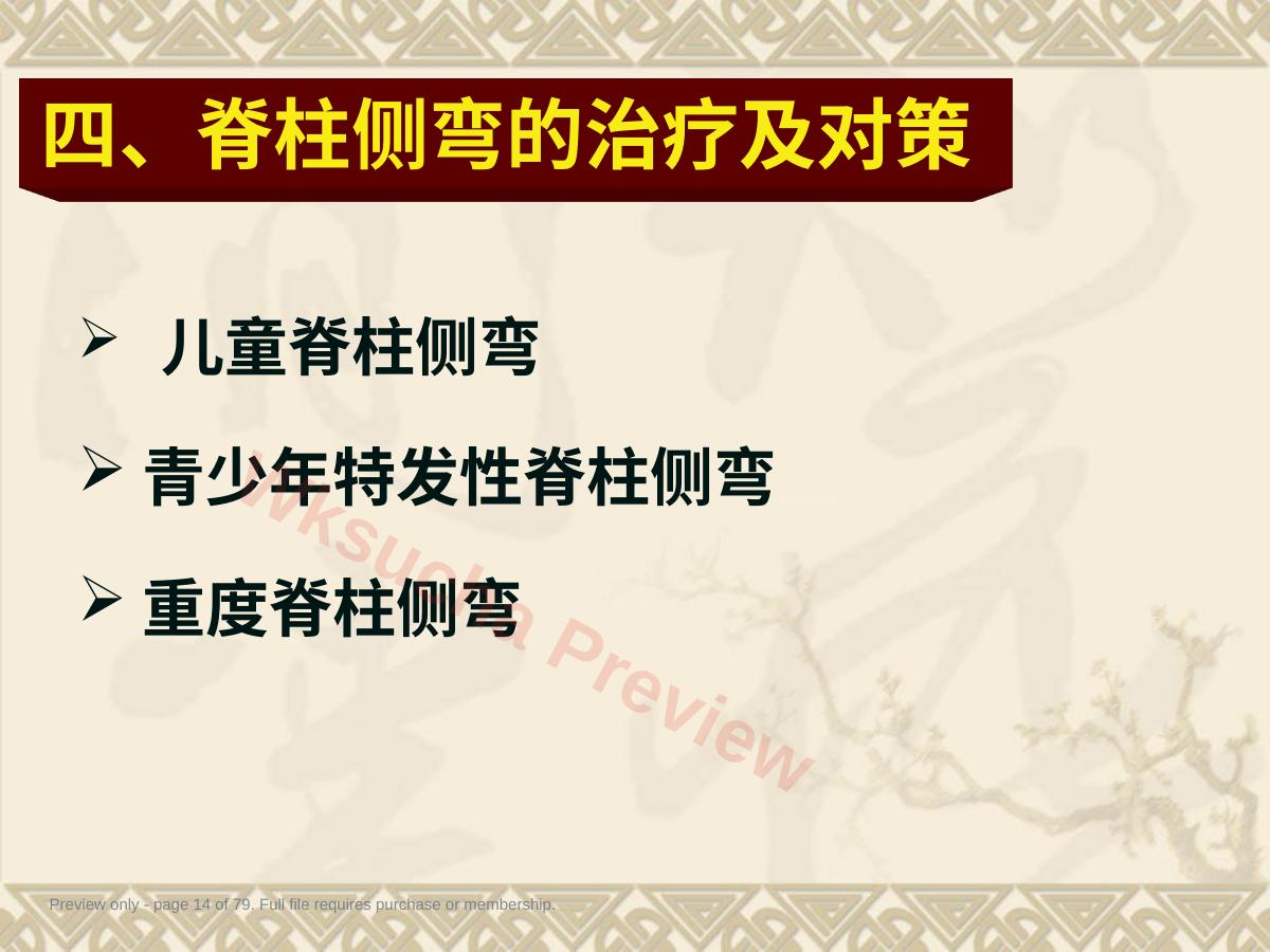预览第 14 页
