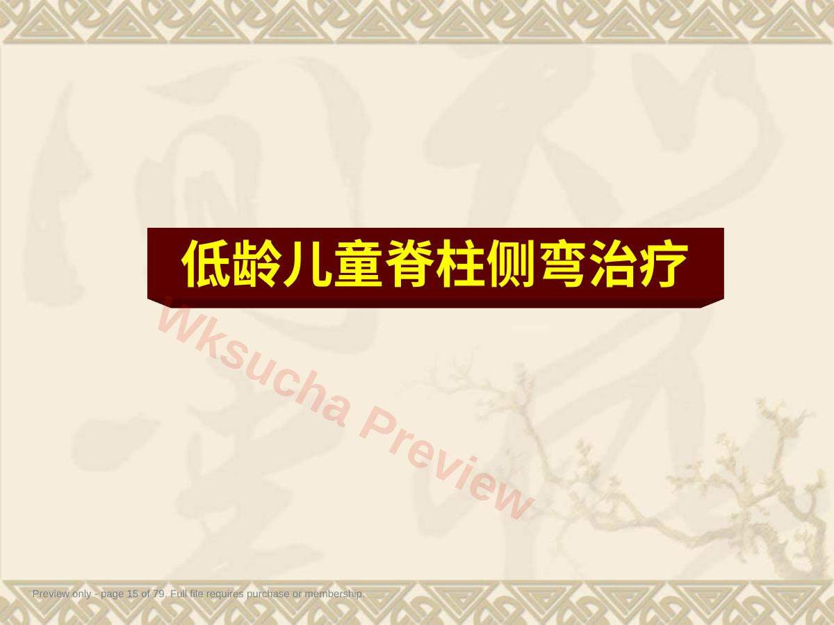 预览第 15 页