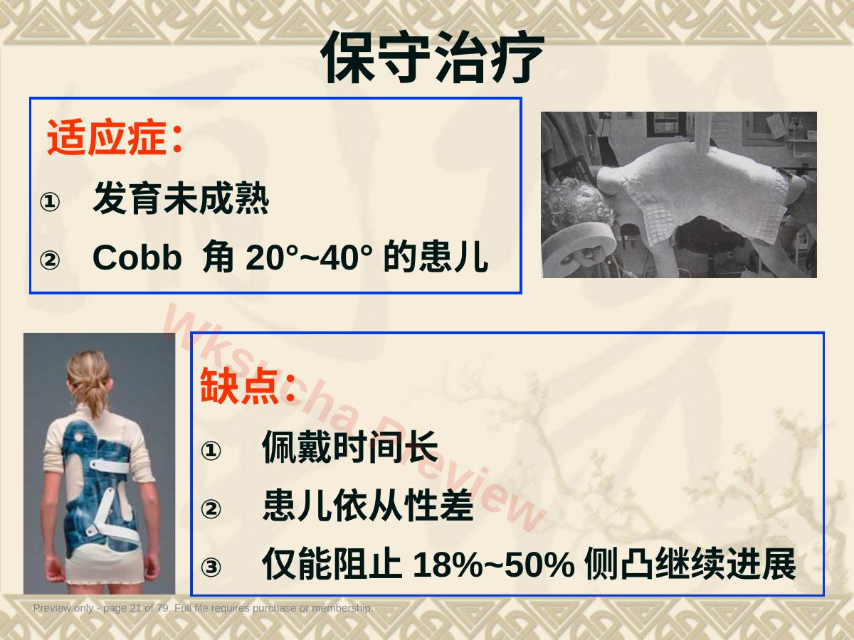 预览第 21 页