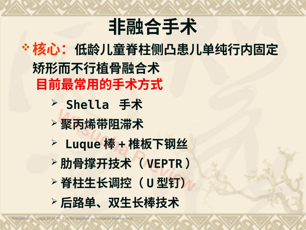预览第 24 页