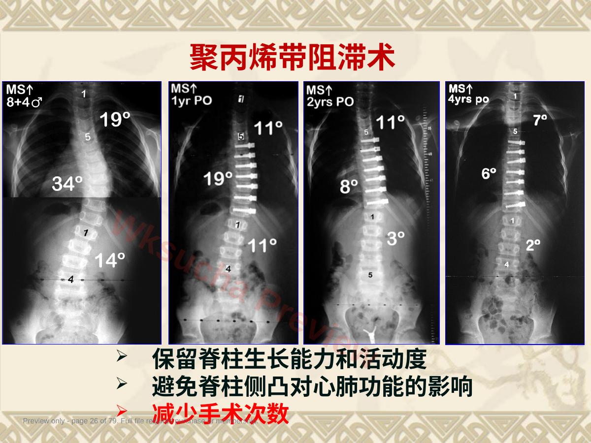 预览第 26 页