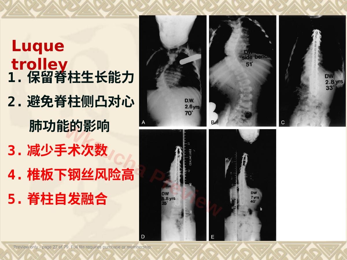 预览第 27 页
