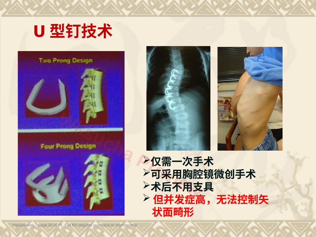预览第 29 页