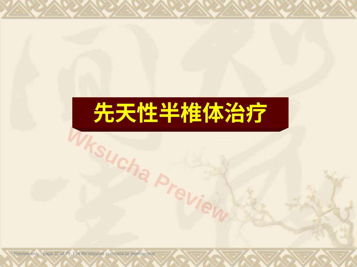 预览第 37 页