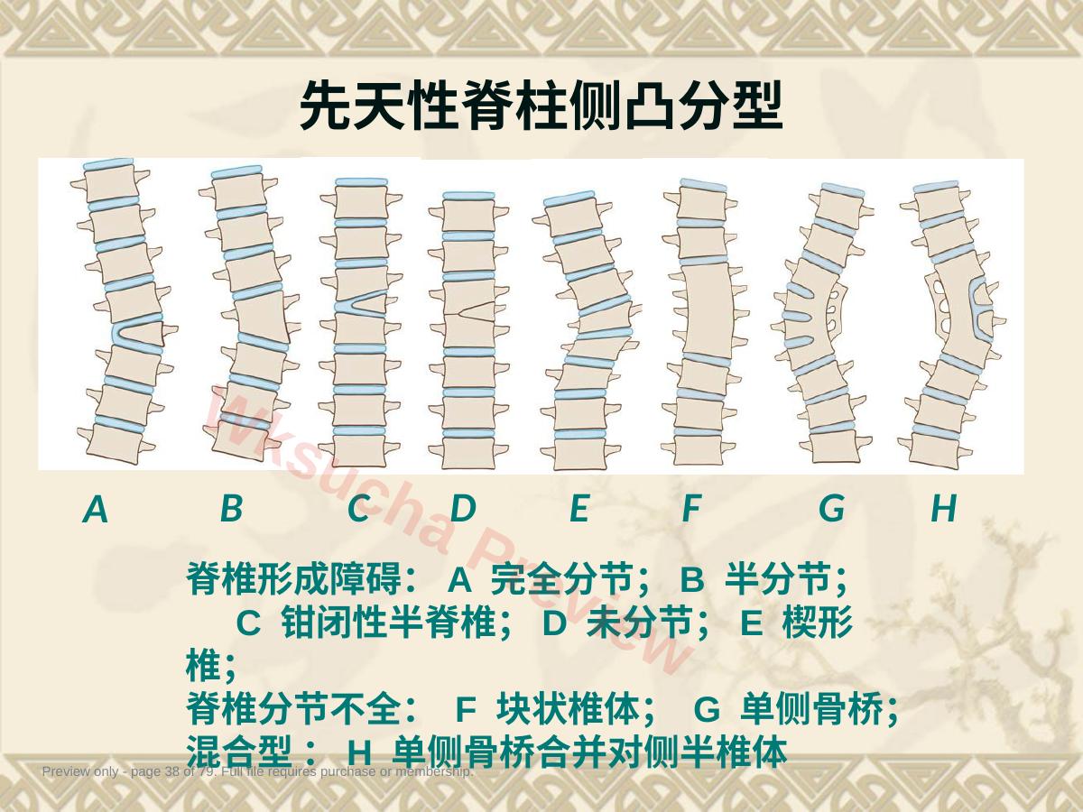 预览第 38 页