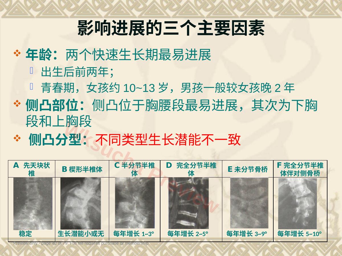 预览第 40 页