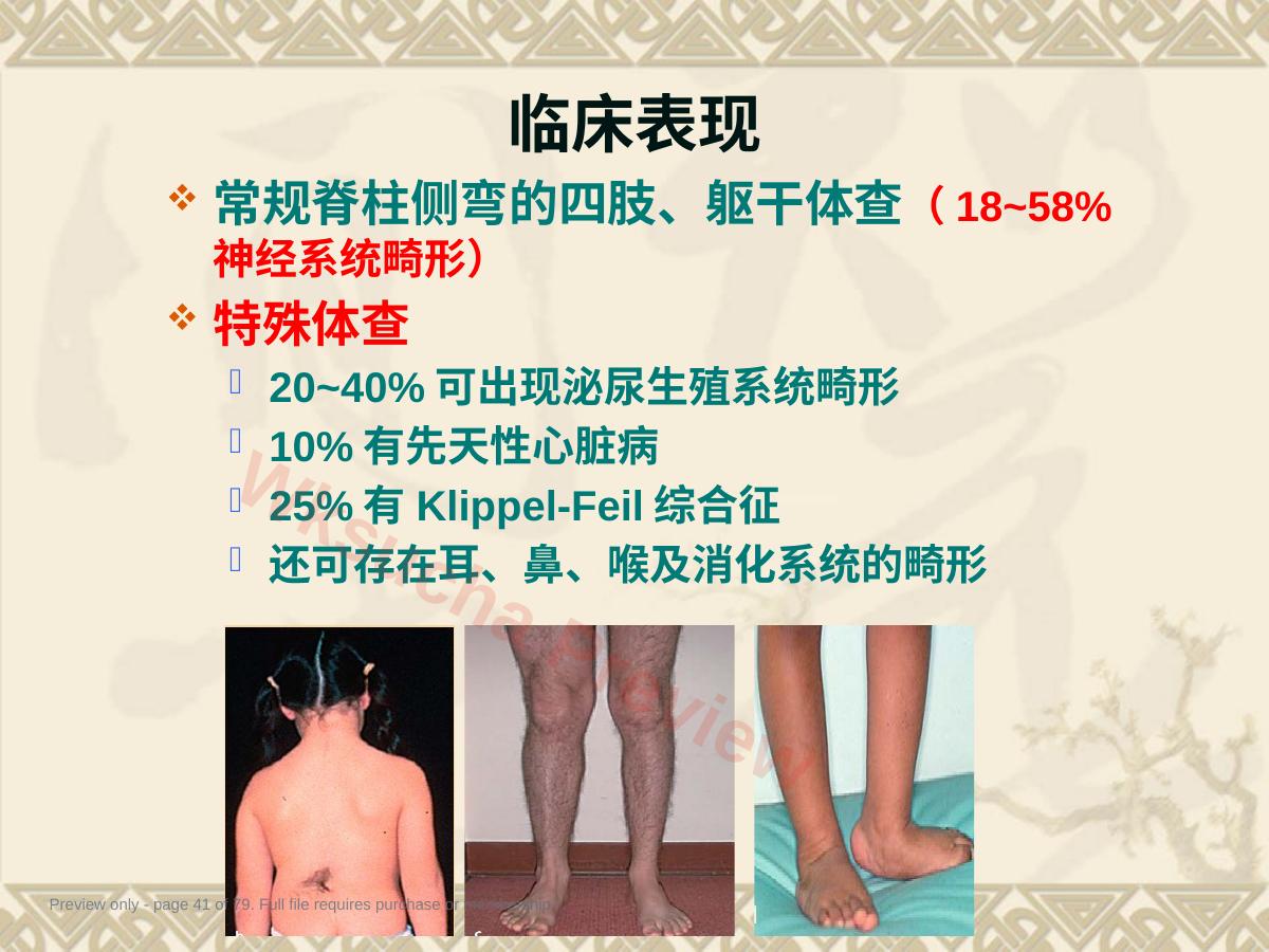 预览第 41 页